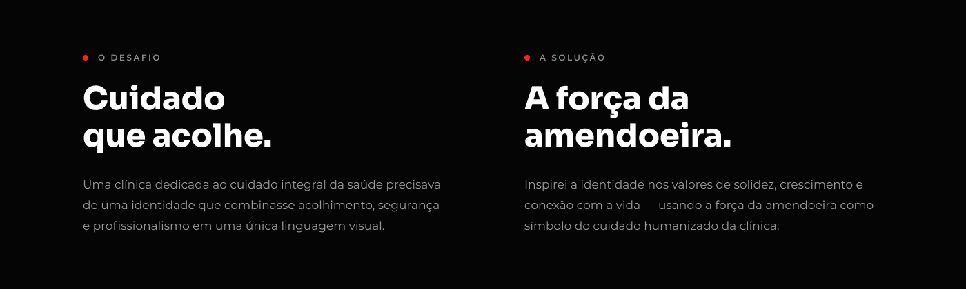 Amendoeiras — 3